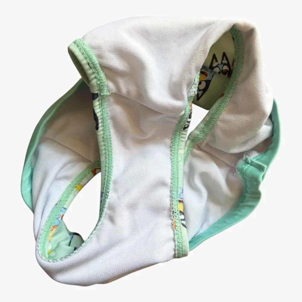 Bluey Toddler Rash Guard Bikini Swimsuit Set Mint Floral Long Sleeve Size 2T UPF
